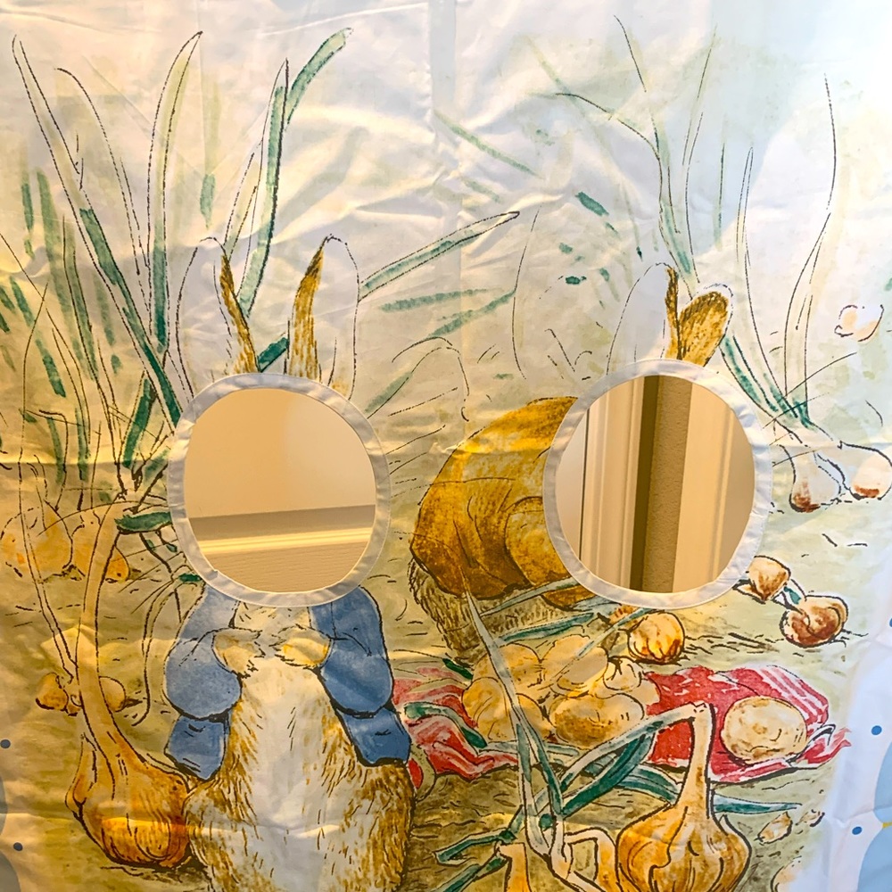 POTTERY BARN KIDS Beatrix Potter Peter Rabbit Nostalgic Photo Panel Easter Party - Picture 3 of 9